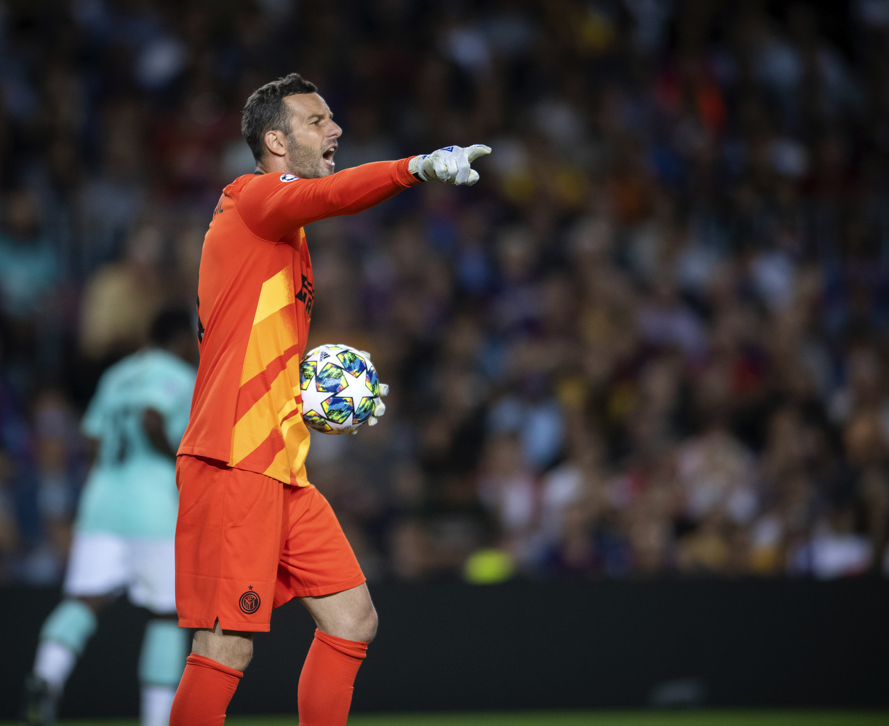 食品安全示范单位